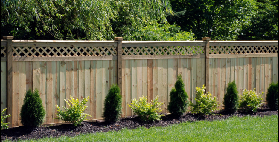 Wood privacy fence along a property line